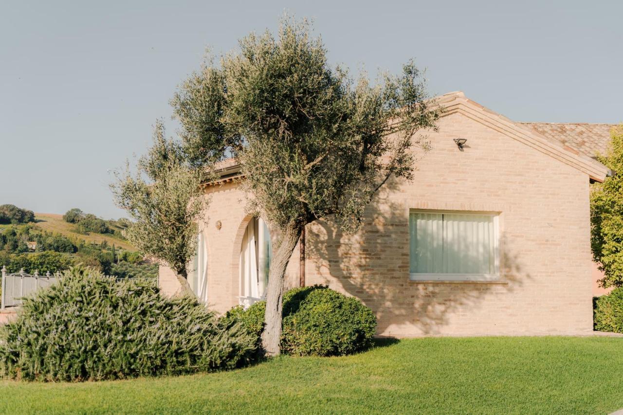 Nontiscordardime B&B Villa Agriturismo Civitanova Marche Dış mekan fotoğraf