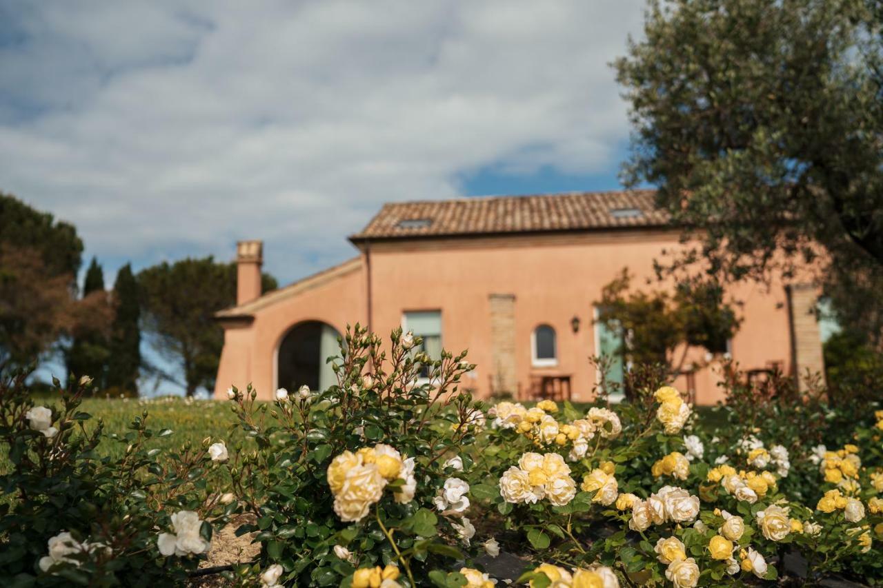 Nontiscordardime B&B Villa Agriturismo Civitanova Marche Dış mekan fotoğraf